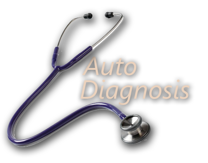 Auto Diagnosis
